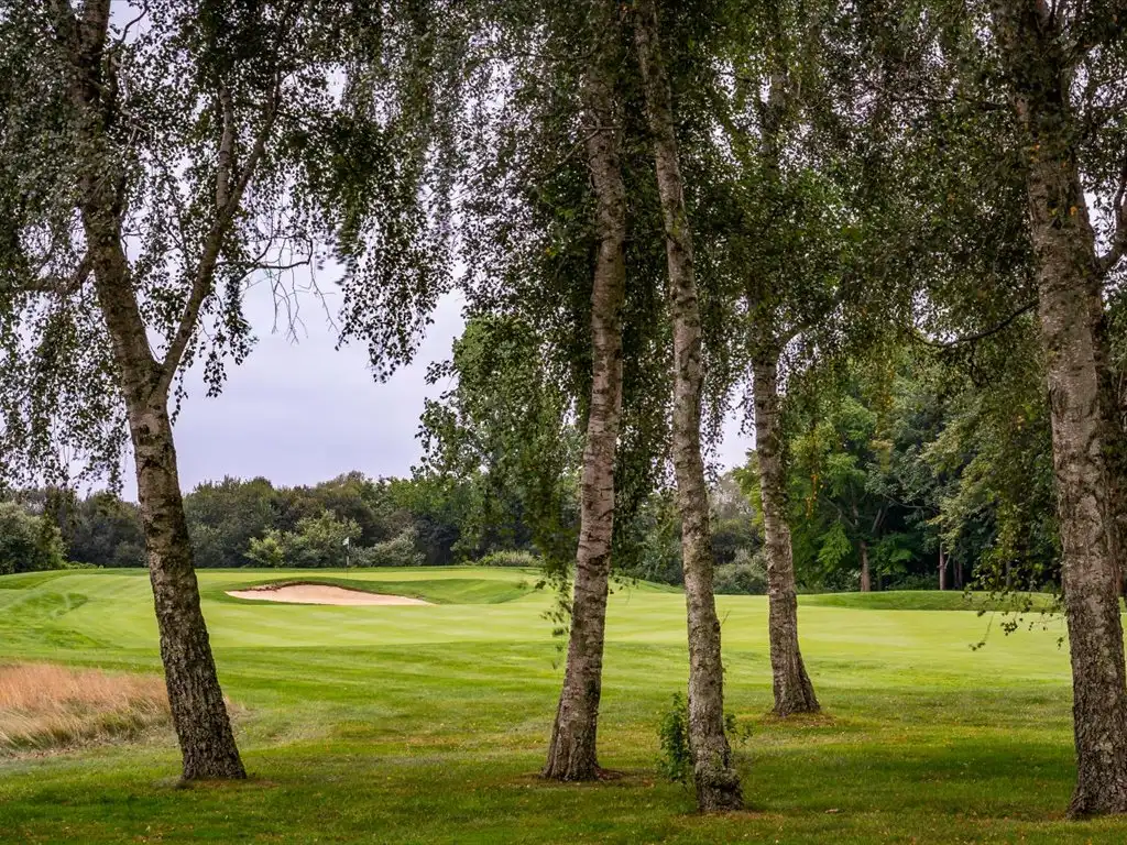043-Summer_Fairway-11